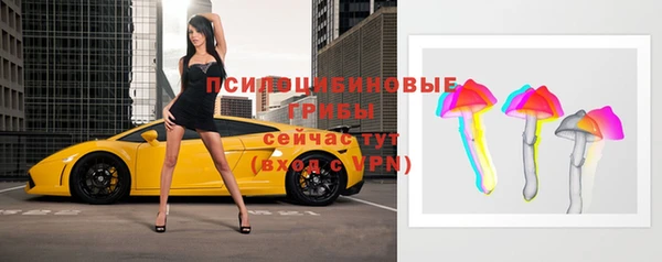 ГАЛЛЮЦИНОГЕННЫЕ ГРИБЫ Нязепетровск