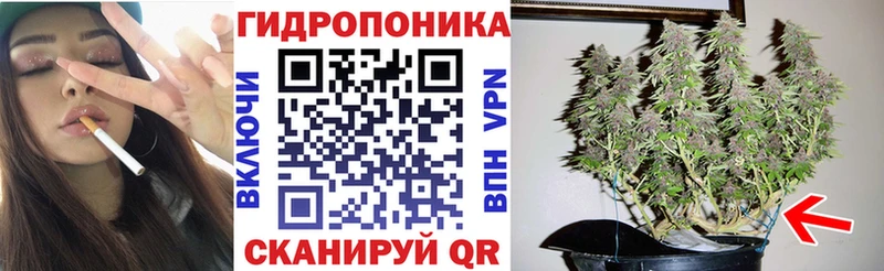 Бошки марихуана планчик  где найти   Зубцов 